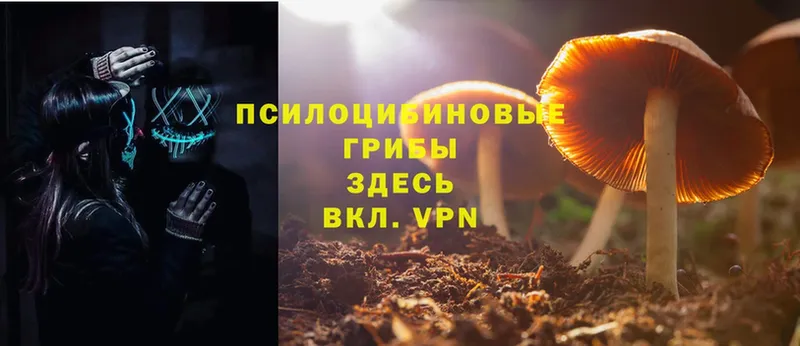 Галлюциногенные грибы Psilocybine cubensis  Лангепас 